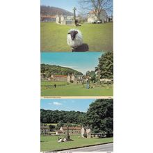 Hutton Le Hole War Memorial incl Protective Sheep 3x Postcard s