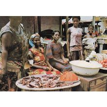Anything You Like Dead Fish Ghana Market Scene Postcard