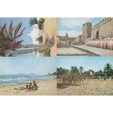 Sousse Djaerba Safsa 4x Tunisia Beach Tunisie Oasis Postcard s