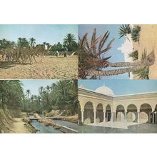 Gabes Gafsa Oasis Kairouan Djerba 4x Tunisie Postcard s