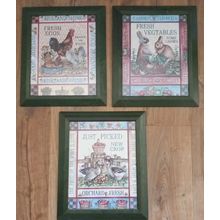 3 Country Farmhouse Kitchen Chicken Geese Rabbit Prints Pictures Green Frames