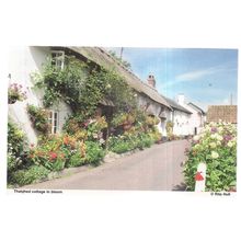 THATCHED COTTAGE IN BLOOM, SIDMOUTH Devon. unused postcard National trust =