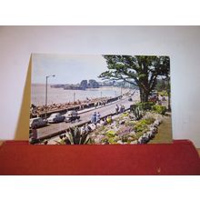 TROPICAL GARDENS & SEA FRONT, TORQUAY, DEVON unused vintage postcard =
