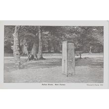 Rufus Stone New Forest Hampshire (QHAM158)