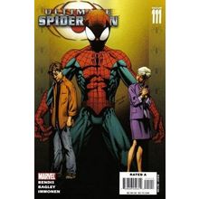 Ultimate Spider-Man # 111 NM (CvrA) MODERN AGE COMICS