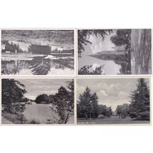 AK Herning Sondre Anlaeg Swans River Denmark 4x Old Postcard
