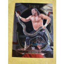 2023 Select WWE Base #69 Jake Roberts