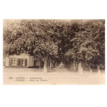 ALLEE DES TILLEULS, FURNES, BELGIUM unused vintage postcard,