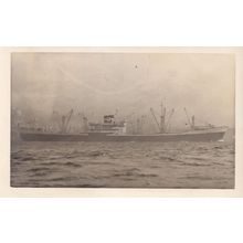 Bamenda Palm Badagry Line Ship Plain Back Postcard Photo