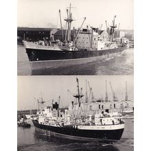 Phrygia Cunard Cargo Ship 2x Plain Back Postcard Photo s