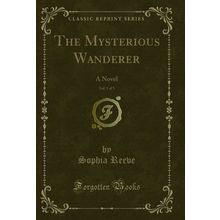 The Mysterious Wanderer, Vol. 1 of 3: A Novel (Classic Reprint)
