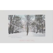 Winter The Avenue Southampton Hampshire Postcard (QHAM234)