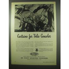 1951 Du Pont Sporting Powders Ad - Felis Concolor Puma