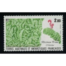FSAT TAAF Alpine water fern 'Blechnum penna marina' 1989 MNH SG#246 MI#254