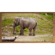 Elephant in a Natural Habitat A5 Rustic