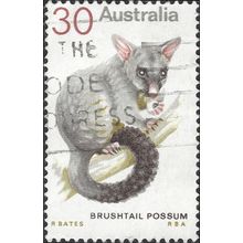 AUSTRALIA, MAMMAL, Brushtail Possum, grey 1974, 30c, #3
