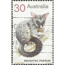 AUSTRALIA, MAMMAL, Brushtail Possum, grey 1974, 30c, #2