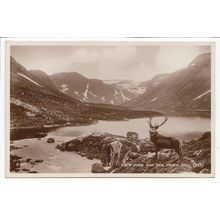 Loch Avon and Ben Muich Dhui Cairngorms RP Postcard 258