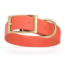 Dog Pet Collar with Brass Hardware Size L W 1.5” L 16” - 20” Coral