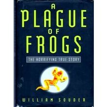 A Plague Of Frogs - William Souder
