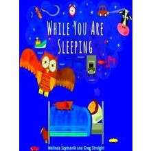 While You Are Sleeping