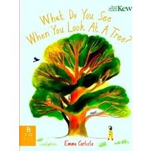 What Do You See When You Look At A Tree