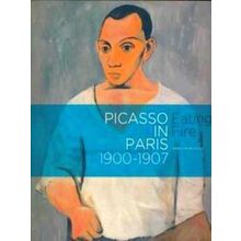 Picasso in Paris, 1900-1907: Eating fire - Marilyn McCully
