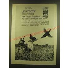 1966 Purina Dog Chow Ad - If it's action you want