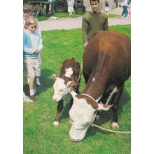 Visitors Day at Thorpe Farm Chertsam Surrey Postcard
