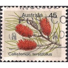 AUSTRALIA, FLOWERS, Needle Bottlebrush, grey 1975, 45c