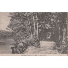 Hazelwick Mill Walk Crawley Antique Postcard