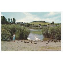 Slapton Ley Torcross Devon Postcard 2060
