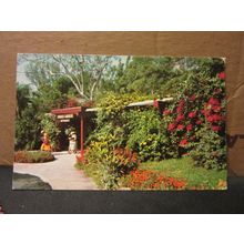 ENTRANCE, SUNKEN GARDENS, ST. PETERSBURG, FLORIDA, USA ..unused postcard