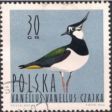 POLAND, BIRD, Northern lapwing, blue 1964, 30 Gr