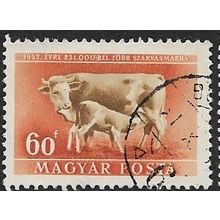 1951 Michel 1153 - fine used (o) - ANIMAL