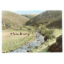BADGEWORTHY WATER, EXMOOR, DEVON, used vintage postcard by Judges 1982 pm =