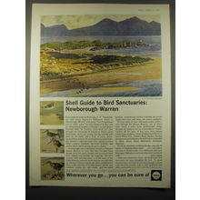 1965 Shell Oil Ad - art by C.F. Tunnicliffe - Newborough Warren