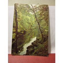 BOLTON WOODS, WHARFEDALE, YORKSHIRE unused postcard DRG. =