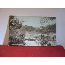 THOMPSON'S PARK, CARDIFF, WALES used antique postcard Dainty Series 1904 pm =