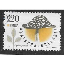 BUL 2014 20st 'FUNGI' FINE USED (EBID63-786)