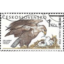 CZECHOSLOVAKIA, BIRD, White-tailed eagle, white 1989, 1Kcs, #2