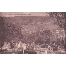 Algeria Alger Visite Au Cimetiere Arabe Le Vendredi Postcard
