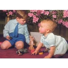Prince Andrew Edward Playing with Rattle Toy Fox Postcard