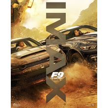 F9 (2021)_13 Movie Film Poster Canvas iconic design