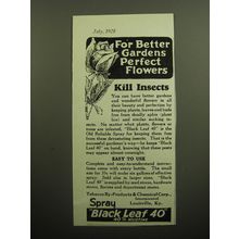1928 Black Leaf 40 Insecticide Ad - For better gardens perfect flowers