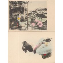 Geisha Woman at Lotus Pond Tokyo 2x Old Tinted Japanese Postcard s