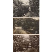 Beverley Brook Wimbledon London River 3x Old RPC Postcard s