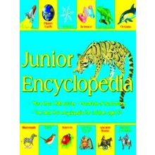 Junior Encyclopedia - Miles Kelly