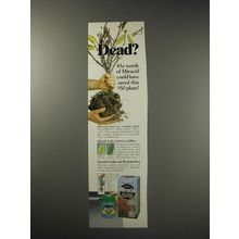 1991 Miracle-Gro Miracid Ad - Dead?