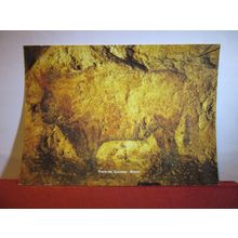 GROTTE de FONT DE GAUME, LES EYZIES-DE-TAYAC, DORDOGNE, FRANCE postcard (a) #